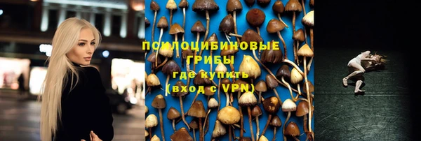 ALPHA-PVP Аркадак