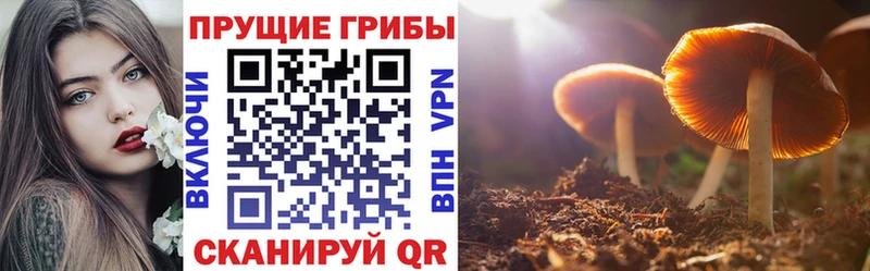 где можно купить Горняк Псилоцибиновые грибы MAGIC MUSHROOMS
